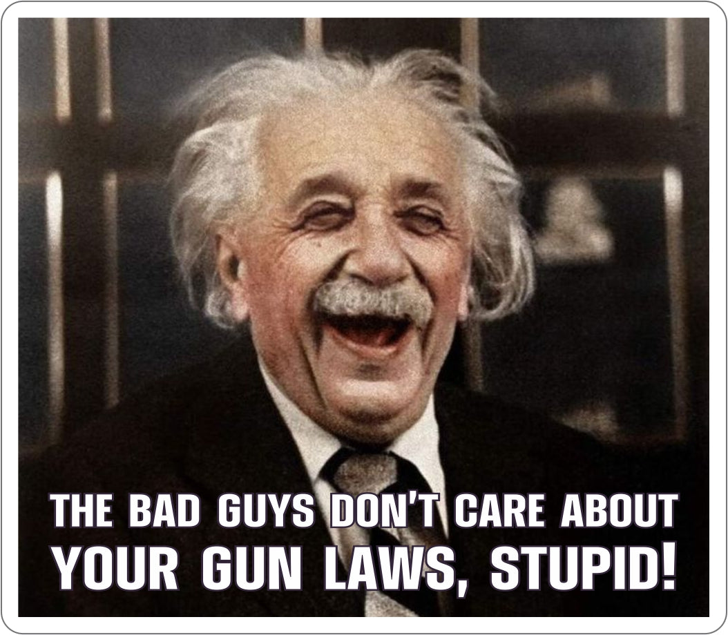 Einstein Gun Laws Sticker