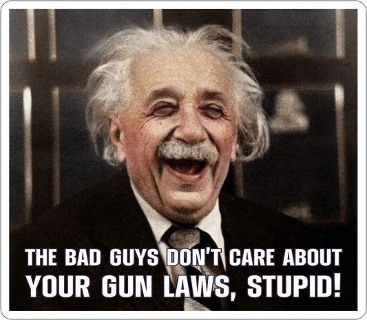 Einstein Gun Laws Sticker