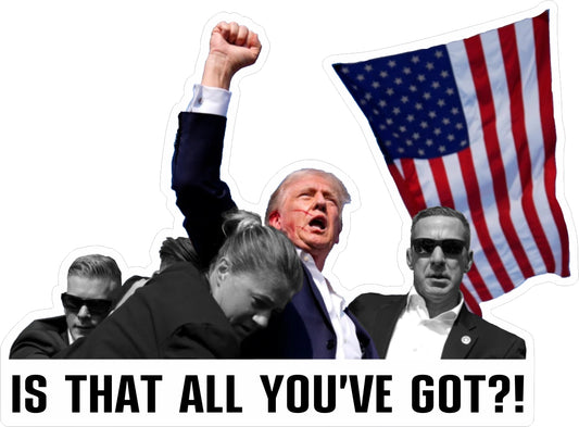 Trump Is That All You Got Sticker